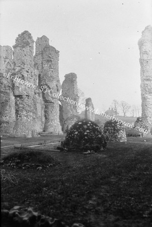 CLUNIDE PRIORY NAVE FROM W.DOOR